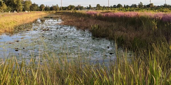 An environmentally friendly water resource